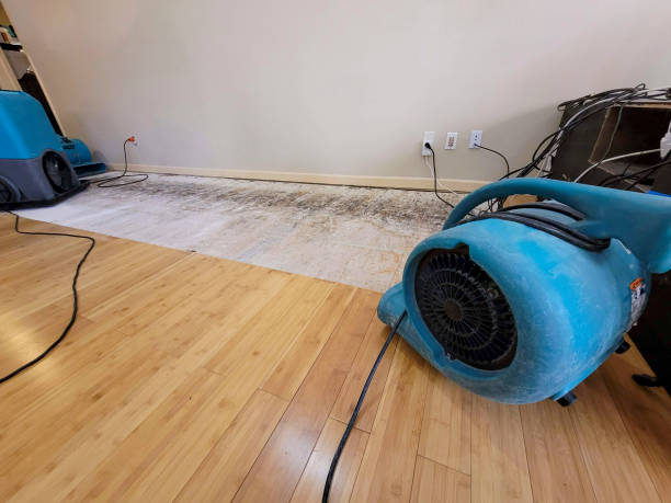 Professional Structural Drying technician working in Shade, OH